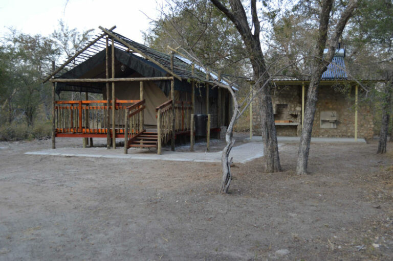 Sikereti Camp – raised tented unit among woodland trees