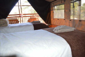 Khaudum camping – twin beds inside a canvas safari tent