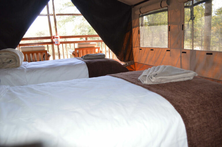Khaudum camping – twin beds inside a canvas safari tent