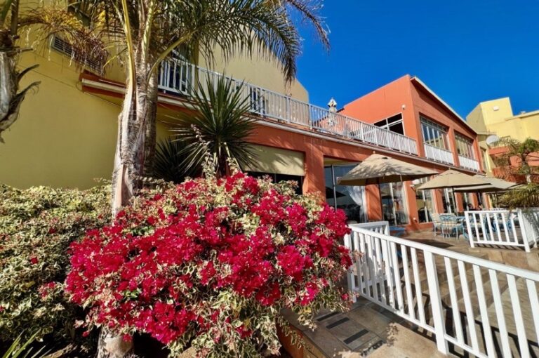 Lüderitz seafront hotel – bougainvillea at the hotel entrance