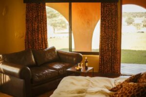 Okonjati Game Reserve lodge – suite seating area overlooking the garden