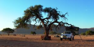 Tiras Mountains accommodation – four-wheel-drive campsite beneath an old tree