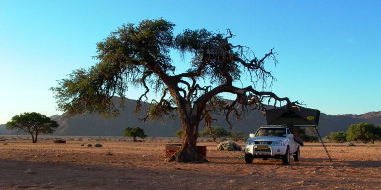 Tiras Mountains accommodation – four-wheel-drive campsite beneath an old tree