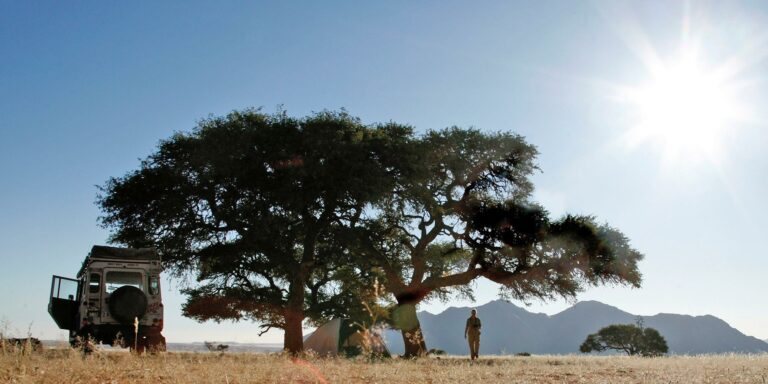 Namtib camping – campers beside a tree in bright desert light