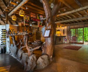 Okavango River lodge – rustic bar beneath a thatched roof