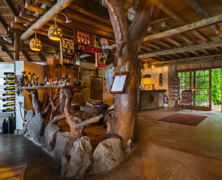 Okavango River lodge – rustic bar beneath a thatched roof