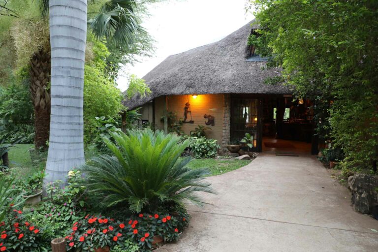 Kavango East lodge – landscaped entrance to the main lodge