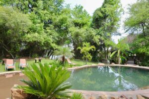 Kavango East lodge – shaded swimming pool in the lodge garden