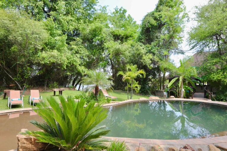 Kavango East lodge – shaded swimming pool in the lodge garden