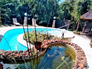 Shametu River Lodge – swimming pools shaded by riverine trees