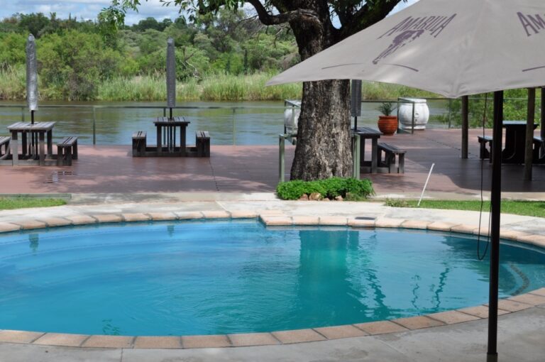 Divundu river lodge – riverfront pool and shaded sun loungers