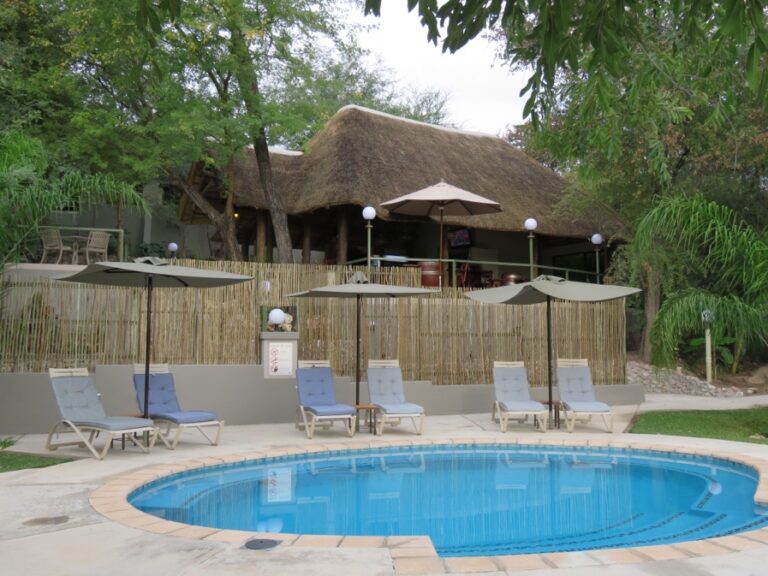 Shametu River Lodge – main lodge terrace above the swimming pool