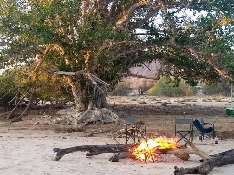 Spitzkoppe campsites – campfire at a sandy bush campsite