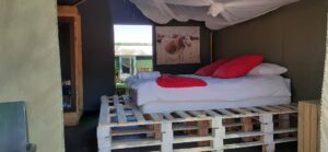 Spitzkoppe Tented Camp – pallet-style double bed with red pillows