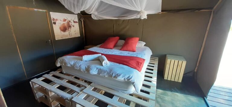 Spitzkoppe campsites – double tent interior with mosquito net