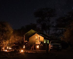 Spitzkoppe accommodation – bush tent illuminated beneath dark trees