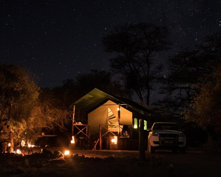 Spitzkoppe accommodation – bush tent illuminated beneath dark trees