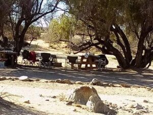 Spitzkoppe Mountain camp – shaded campsite beneath mature trees