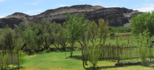 Richtersveld camping – campsite lawn with mountain views