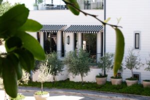 Windhoek boutique hotel – landscaped exterior courtyard
