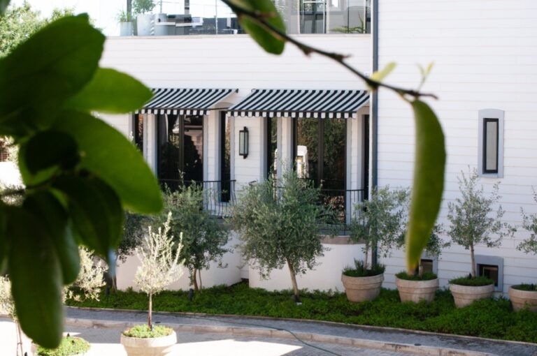 Windhoek boutique hotel – landscaped exterior courtyard
