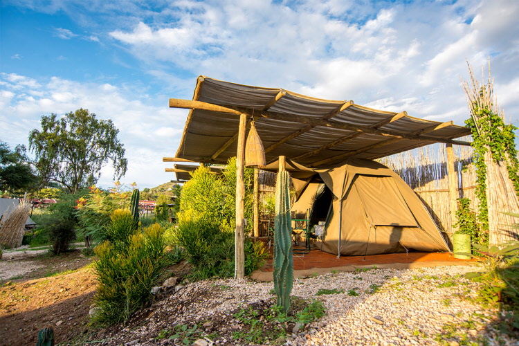 UrbanCamp Windhoek – glamping tent exterior in leafy grounds
