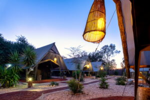 central Windhoek campsite – path between furnished safari tents