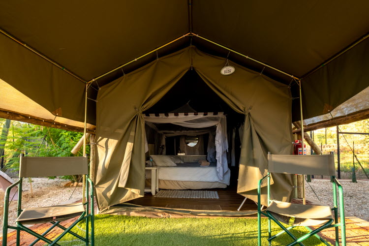 Windhoek glamping – front view of furnished comfort tent