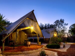 central Windhoek campsite – lit glamping tent after sunset