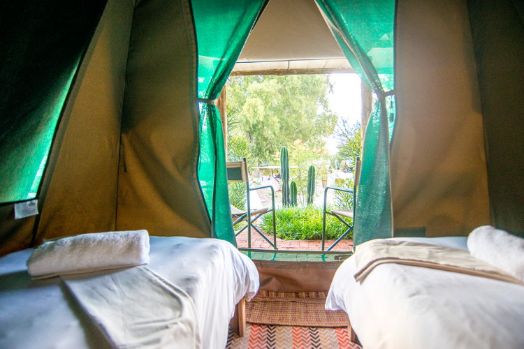 UrbanCamp – twin-bed garden tent interior