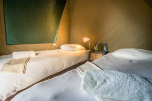Windhoek glamping – simple twin room at UrbanCamp