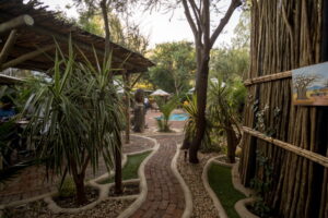 Windhoek glamping – curved garden path through the camp