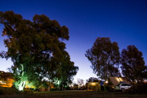 central Windhoek campsite – camping beneath tall trees at night