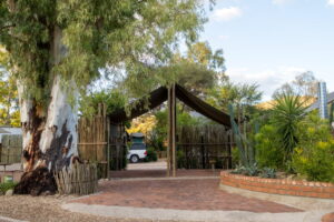 central Windhoek campsite – leafy entrance to the campsite