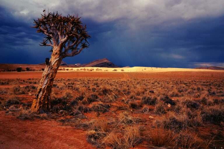 Namibia tourist attractions travel guide