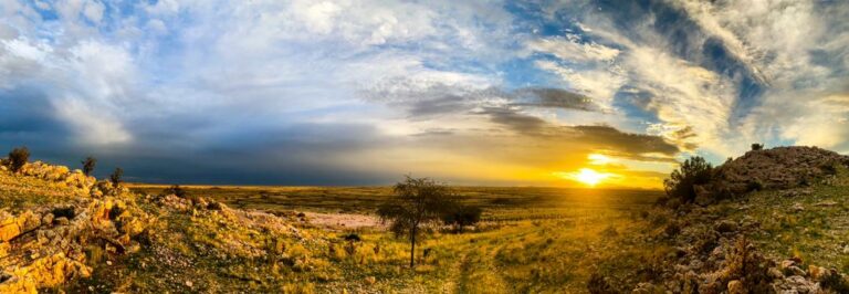 White House Guest Farm – wide farm landscape at sunset