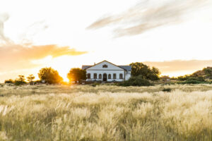 Grünau accommodation – historic white farmhouse in golden grass