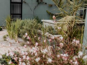 The Fritz Collection – landscaped garden