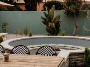 The Fritz Collection – small garden pool