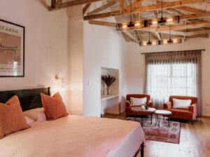 The Fritz Collection – exposed-rafter suite