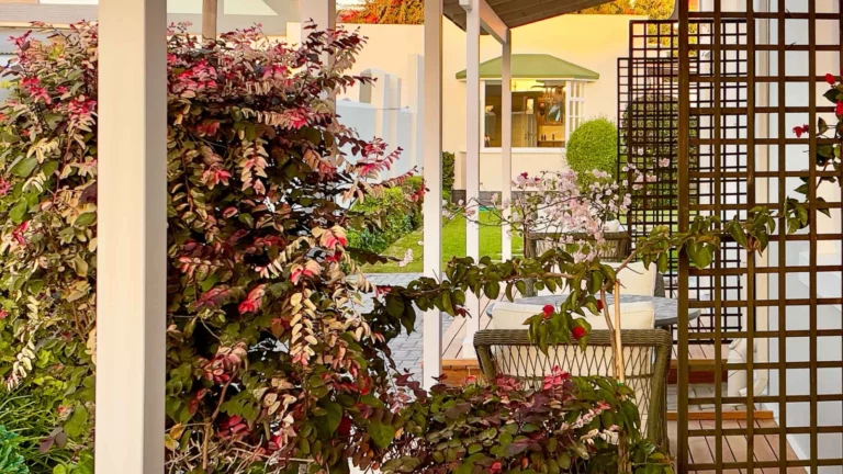 Brigadoon Boutique Guesthouse accommodation gallery image 9