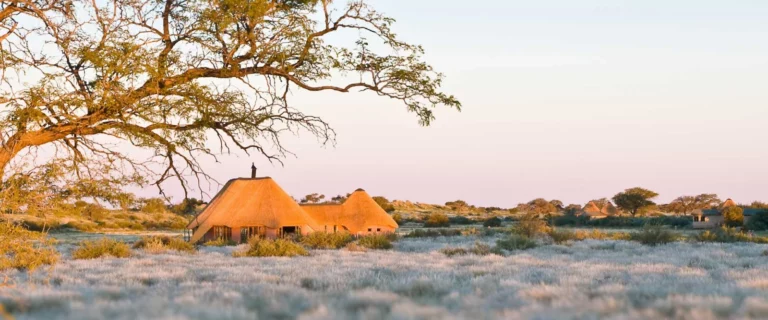 Kalahari Red Dunes Lodge surrounded by Namibia's red dune landscape