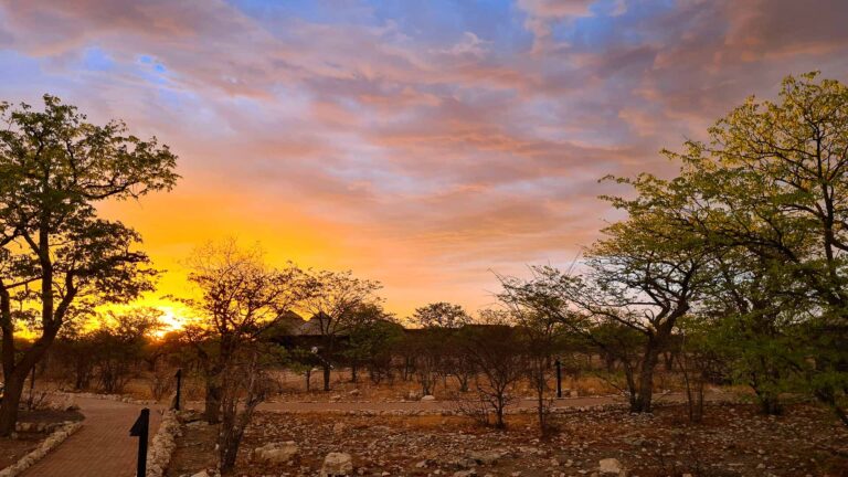 Etosha Oberland Lodge – reserve sunset