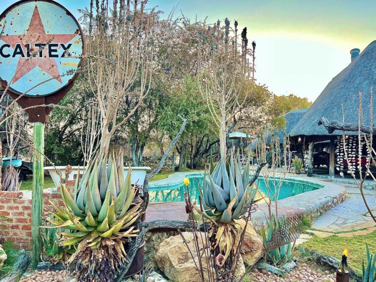 Roy's Rest Camp – vintage pool decor