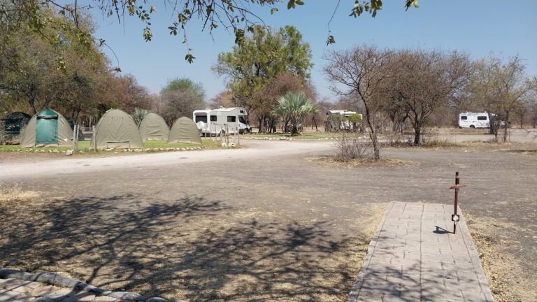 Roy's Rest Camp – shaded camping area