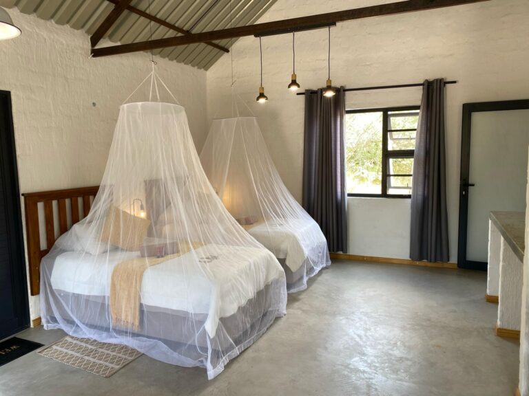 Roy's Rest Camp – bright en-suite room