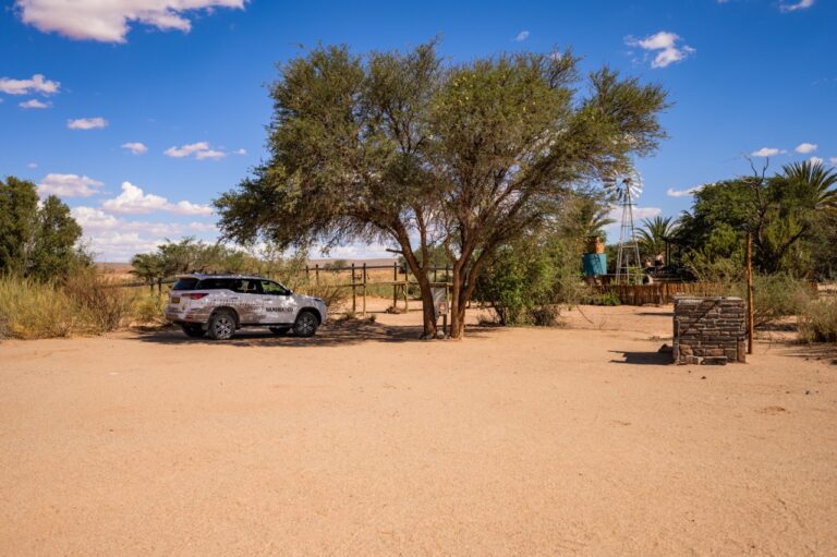 Canyon Roadhouse camping and parking area beneath a shade tree