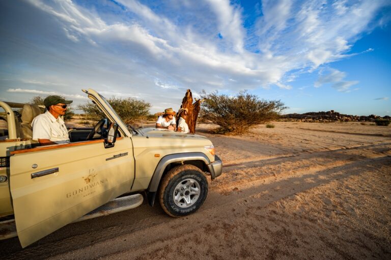 Open vehicle activity near Canyon Village accommodation