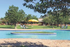 Swimming pool and garden at Damara Mopane Lodge near Khorixas