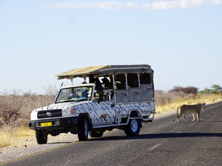 Open safari vehicle during an Etosha game drive